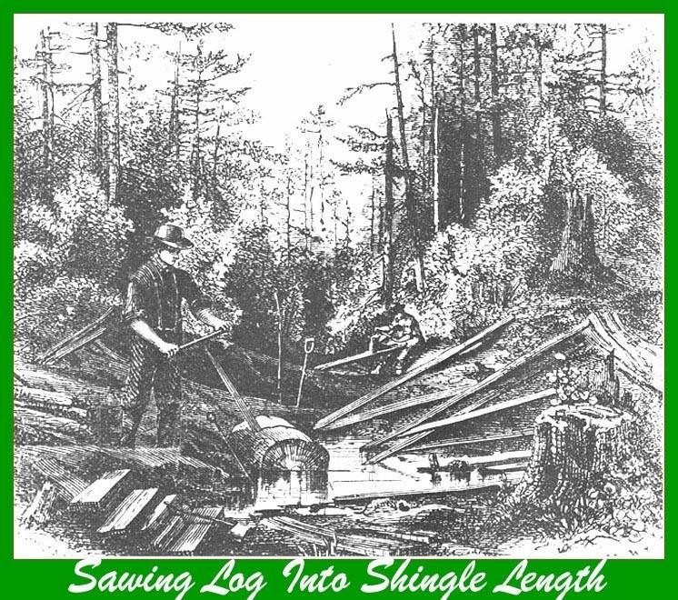 Etching of a log being sawed
