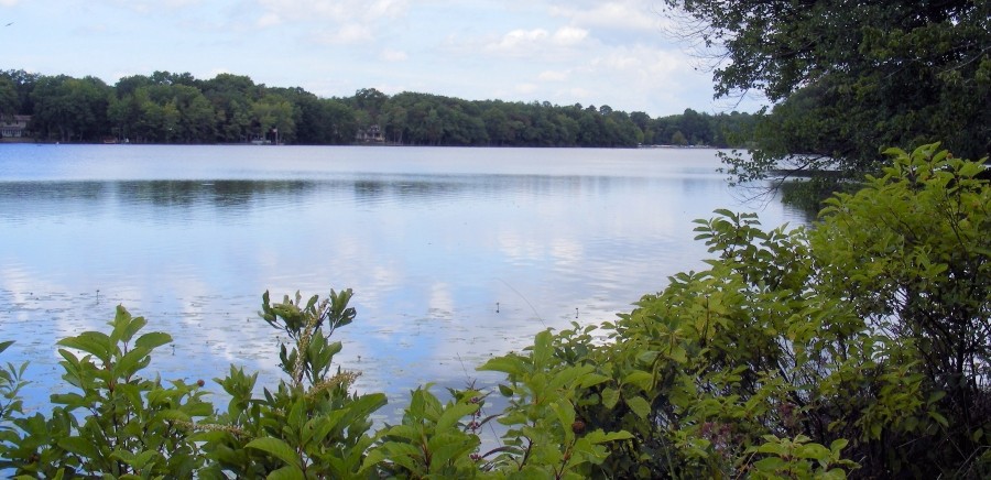 View of Johnsons Pond
