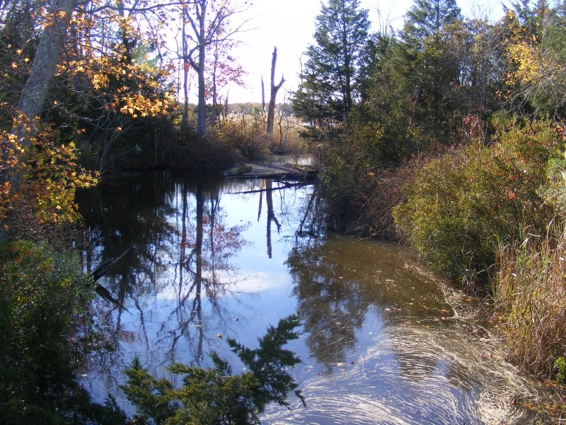 Pickle Lake - side creek